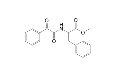 Methyl N-(phenylglyoxyl)phenyllaninate