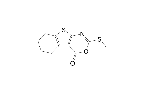 2-methylsulfanyl-5,6,7,8-tetrahydro-[1]benzothiolo[2,3-d][1,3]oxazin-4-one