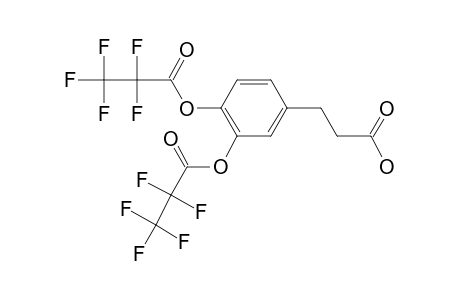 3,4-di(Pentafluoropropionyloxy)hydrocinnamic acid