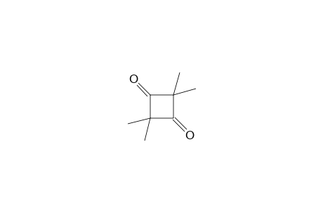 2,2,4,4-Tetramethyl-cyclobutane-1,3-dione