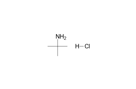 tert-butylamine, hydrochloride