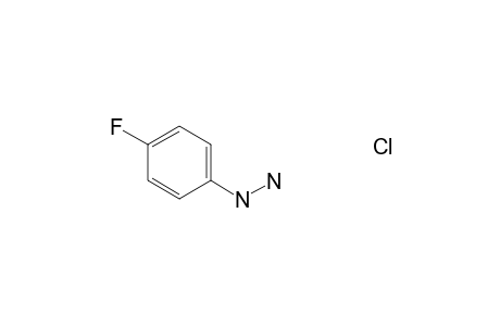 (4-Fluorophenyl)hydrazine hydrochloride