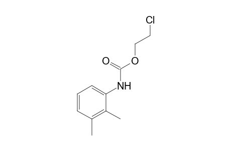 2,3-dimethylcarbanilic acid, 2-chloroethyl ester