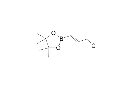 (E)-3-Chloro-1-propenyboronic acid pinacol ester