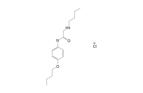 4'-butoxy-2-(butylamino)acetanilide, monohydrochloride