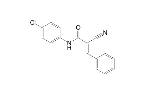 (2E)-N-(4-chlorophenyl)-2-cyano-3-phenyl-2-propenamide