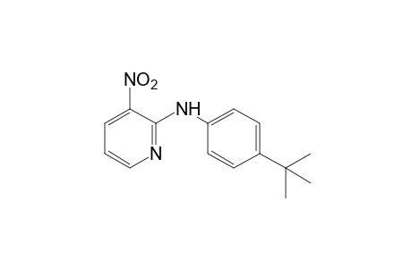 2-(p-tert-BUTYLANILINO)-3-NITROPYRIDINE