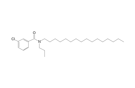 Benzamide, 3-chloro-N-propyl-N-hexadecyl-