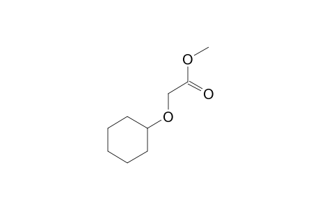 2-(Cyclohexyloxy)acetic acid, methyl ester