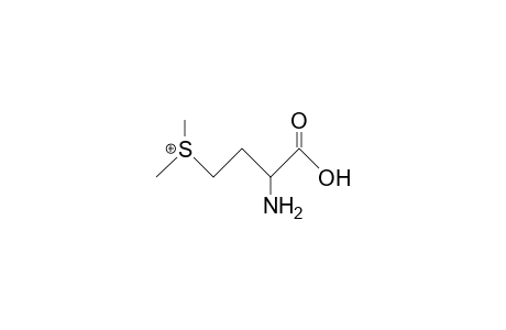 4-Dimethylsulfonio-2-amino-butanoic acid, cation