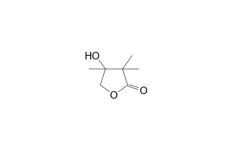 3,4-dihydroxy-2,2,3-trimethylbutyric acid, gamma-lactone