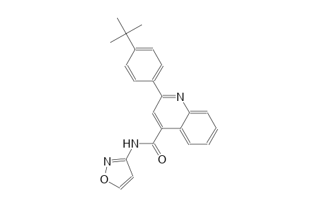 2-(4-tert-butylphenyl)-N-(3-isoxazolyl)-4-quinolinecarboxamide