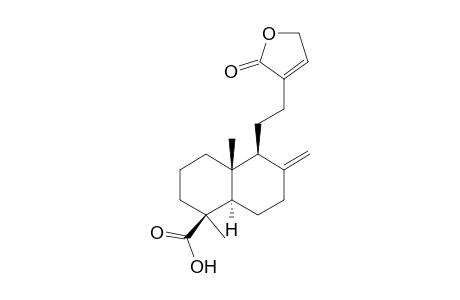 Pinusolidic acid