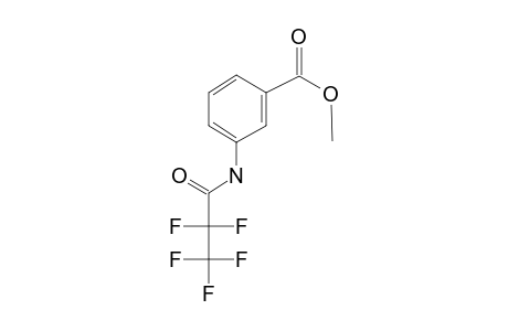 Methyl 3-(N-pentafluoropropionylamino)benzoate