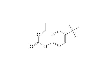 4-Tert-butylphenol, o-ethoxycarbonyl-