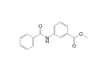 m-benzamidobenzoic acid, methyl ester