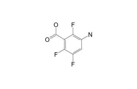 3-Amino-2,5,6-trifluorobenzoic acid