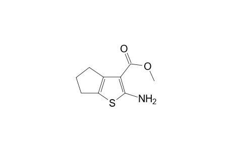 2-amino-5,6-dihydro-4H-cyclopenta[b]thiophene-3-carboxylic acid methyl ester