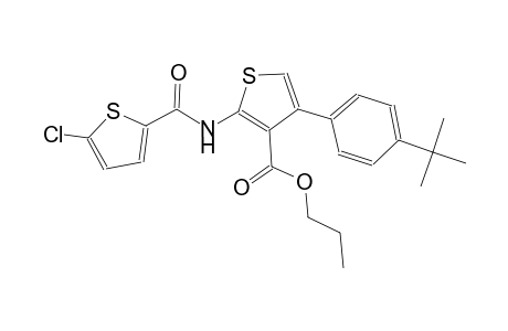 propyl 4-(4-tert-butylphenyl)-2-{[(5-chloro-2-thienyl)carbonyl]amino}-3-thiophenecarboxylate