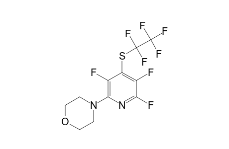 2-MORPHOLINO-4-PENTAFLUOROETHYLTHIO-3,5,6-TRIFLUOROPYRIDINE