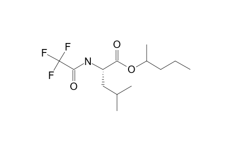 L-Leucine, N-(trifluoroacetyl)-, 1-methylbutyl ester