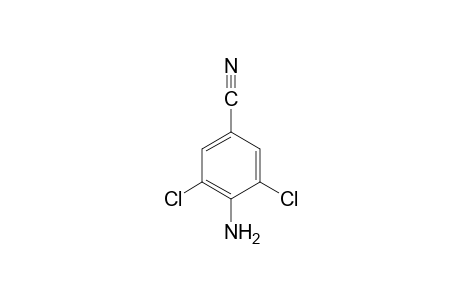 4-Amino-3,5-dichlorobenzonitrile