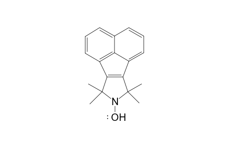 7,7,9,9-Tetramethyl-7,9-dihydro-8H-acenaphtho[1,2-c]pyrrol-8-yloxyl radical