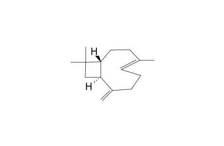 (E)-(1R,9S)-(-)-8-methylene-4,11,11-trimethylbicyclo[7.2.0]undec-4-ene