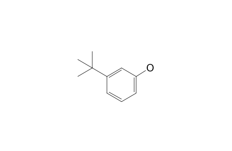 3-Tert-butylphenol