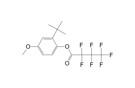 3-Tert-butyl-4-hydroxyanisole, o-heptafluorobutyryl-