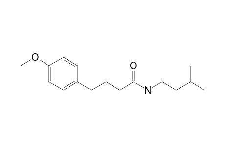 Butyramide, 4-(4-methoxyphenyl)-N-3-methylbutyl-