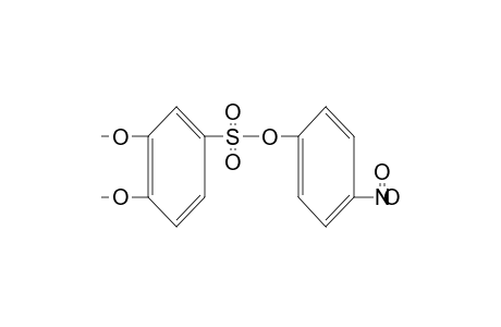 3,4-dimethoxybenzenesulfonic acid, p-nitrophenyl ester