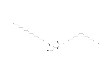 DG O-16:0_18:1