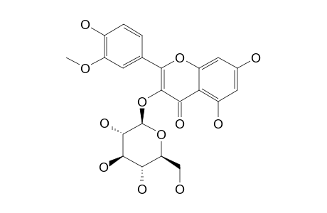 ISORHAMNETIN-3-O-BETA-GLUCOPYRANOSIDE