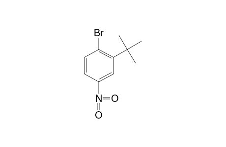 1-bromo-2-tert-butyl-4-nitrobenzene