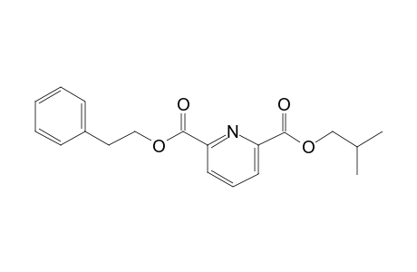 2,6-Pyridinedicarboxylic acid, isobutyl phenethyl ester