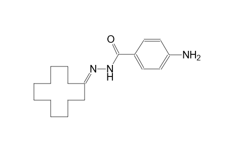 4-amino-N'-cyclododecylidenebenzohydrazide