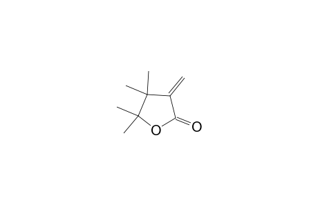 4,4,5,5-tetramethyl-3-methylideneoxolan-2-one