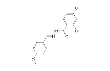 2,4-Dichloro-N'-[(E)-(4-methoxyphenyl)methylidene]benzohydrazide