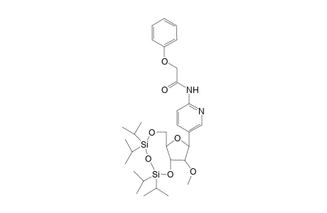 2-[N-(Phenoxyacetyl)amino]-5-[2'-O-methyl-3',5'-O-(1",1",3",3"-tetraisopropyl-disiloxane-1",3"-diyl)-.beta.-D-ribofuranosyl]-pyridine