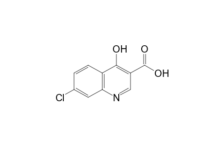 7-Chloro-4-hydroxy-3-quinolinecarboxylic acid