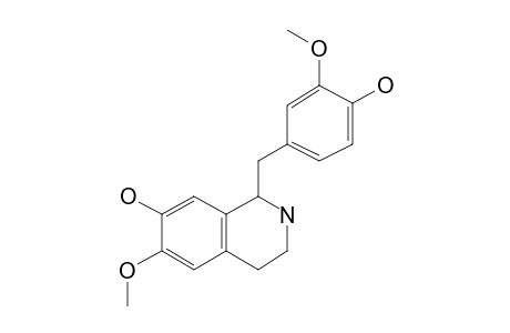 Norreticuline