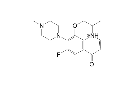 Ofloxacin MS3_1