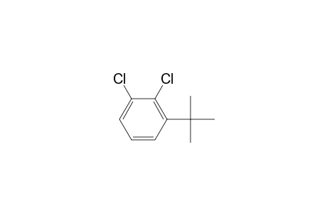 1-Tert-butyl-2,3-bis(chloranyl)benzene