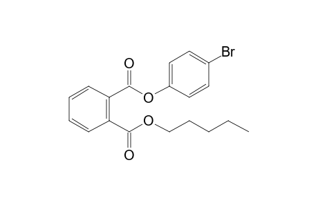 Phthalic acid, 4-bromophenyl pentyl ester