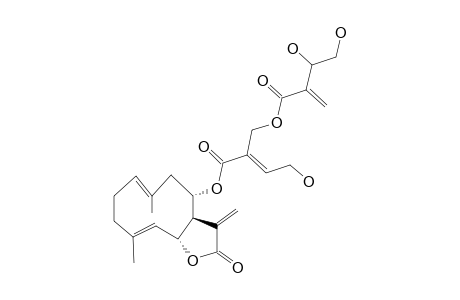 CAUDATOL;COMFORMER_1