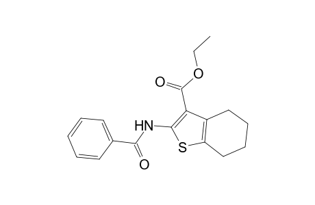 Ethyl 2-(benzoylamino)-4,5,6,7-tetrahydro-1-benzothiophene-3-carboxylate