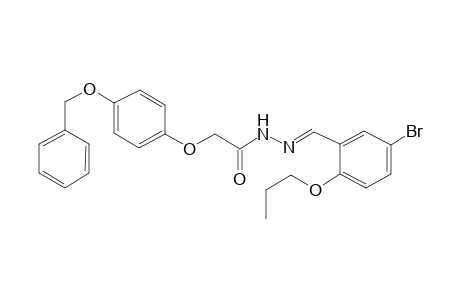 acetic acid, [4-(phenylmethoxy)phenoxy]-, 2-[(E)-(5-bromo-2-propoxyphenyl)methylidene]hydrazide