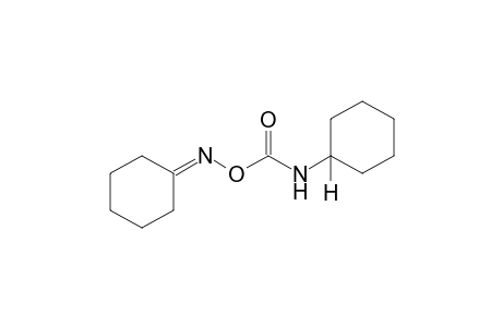 cyclohexanone, O-(cyclohexylcarbamoyl)oxime