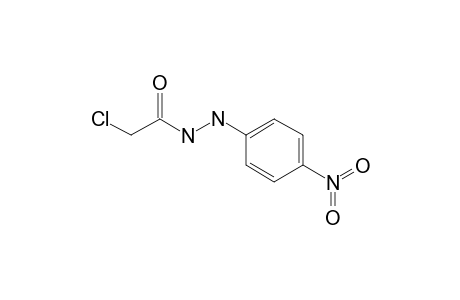 Acetic acid, 2-chloro-, 2-(4-nitrophenyl)hydrazide